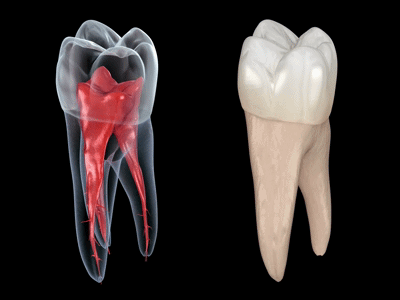 B-roll 素材範例 3